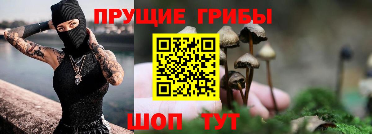 Галлюциногенные грибы Psilocybe Каменка